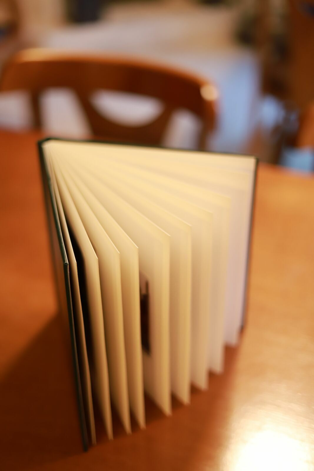 Foto Por que seguimos imprimindo? E por que o novo Álbum Scrap da G&A faz ainda mais sentido nessa conversa. - Imagem 0